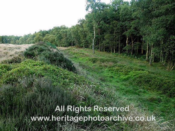 HRS 1908  Roman works Dalby Forest