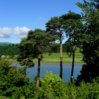 HRS 11042 Bodnant, Afon Conwy L1210419