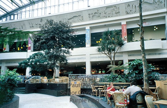 Dartford, Bluewater Shopping Centre