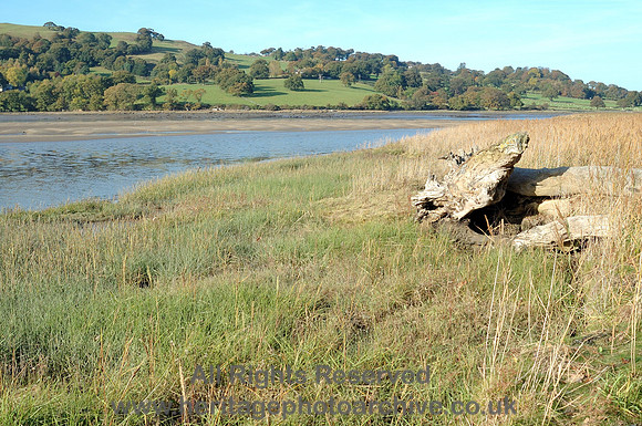 HRS 9919 Glan Conwy looking across Afon Conwy to Bryn Seiri Oct 2009 DSC_0022