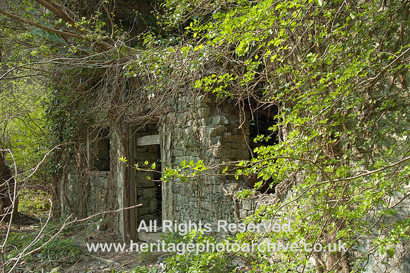 HRS 5530 Dr Johnson's Cottage, Denbigh  2005
