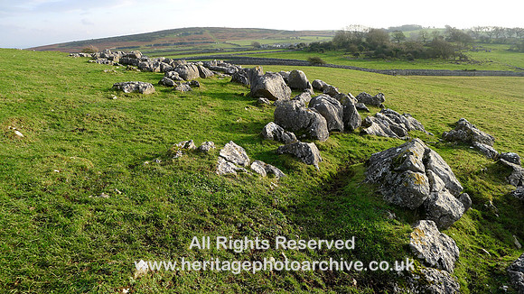 HRS 9971 Great Urswick, escarpment SW end SDL1180924