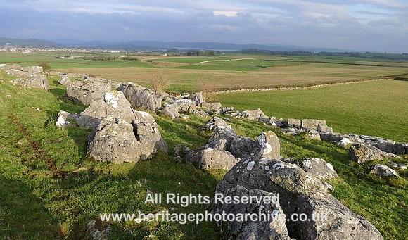 HRS 9981 Great Urswick, limestone pavement looking NE L1180918