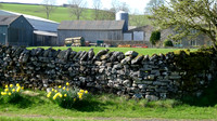 HRS 9007 Crosby Ravensworth, dry stone wall near beck