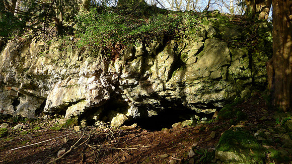 HRS 100056 Witherslack, Nicholls Moss caves exterior NGR SD 43334 82709 L1190043