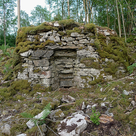 HRS 100060 Witherslack, Halecat area, potash kiln 2012 L1030883