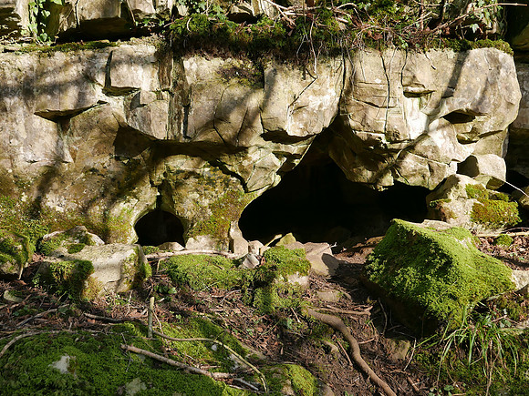 HRS 100062 Witherslack, Nicholls Moss, Caves close up of entrance L7740091