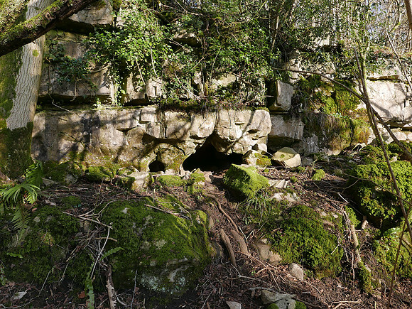 HRS 100063 Witherslack, Nicholls Moss, caves L7740090