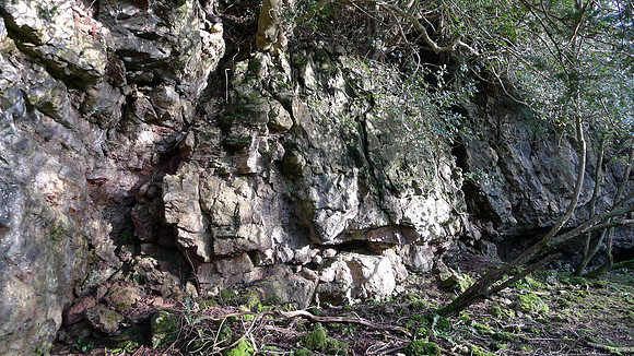 HRS 100065a Witherslack, Nicholls Moss faulting in limestone L1190046a