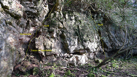HRS 100065b Witherslack, Nicholls Moss faulting in limestone L1190046b