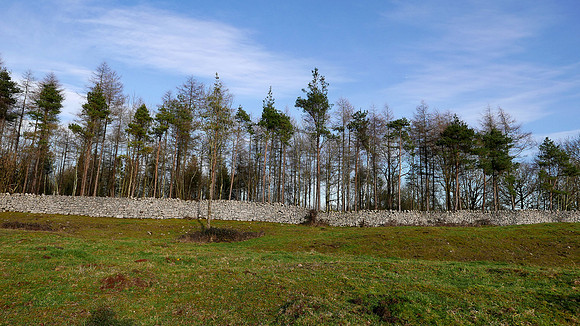 HRS 100067 Witherslack, dry-stone wall, adjacent to Latterbarrow L7740099