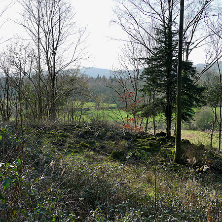 HRS 100066 Witherslack, Latterbarrow nature reserve L1190033