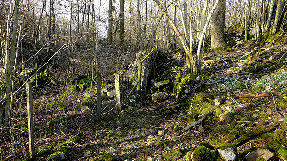 HRS 100068 Witherslack, Old ruined building 2019 L1190047