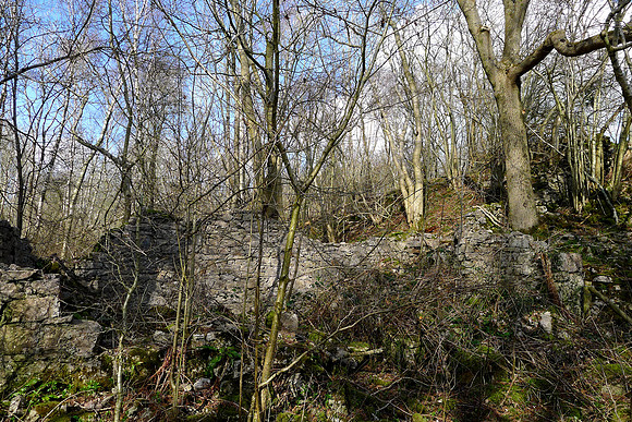 HRS 100069 Witherslack, old ruined building  2012  L1020944