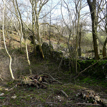 HRS 100070 Witherslack, old ruined building 2012 L1020945