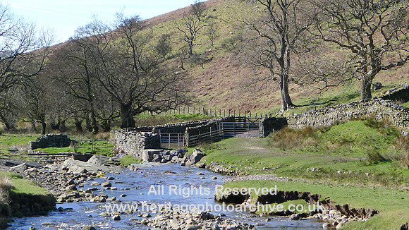 HRS 7914 Barbondale, sheep fold and wash