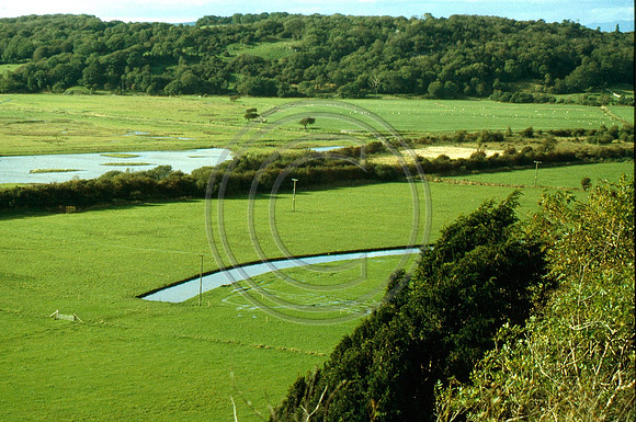 Green marsh 9th March 2001