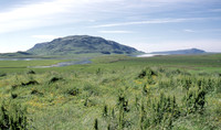 HRS 7454 Iceland volcanic landscape 1996