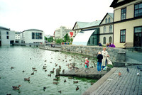 HRS 7466 Reykjavik duck feeding