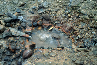 HRS 7455 Iceland, Boiling water by the path