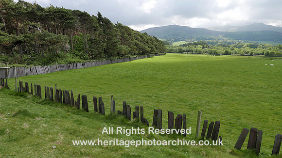 HRS 10087 Llanfairfechan, slate fencing around woodland 2019 L7740388