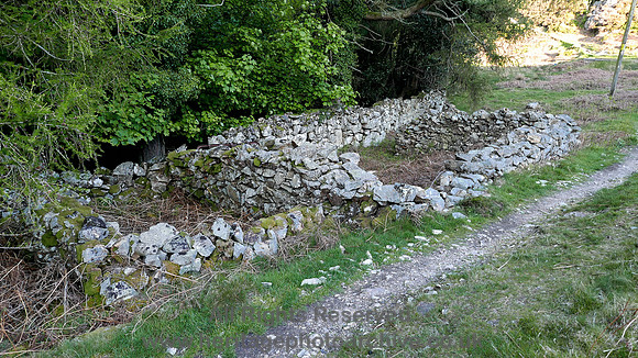 HRS 10108 Conwy, Pensychnant, sheep pen L7740423