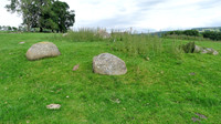 HRS 9895 Crosby Ravensworth, Shap granite erratics L1110535