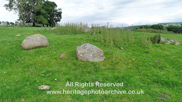 HRS 9895 Crosby Ravensworth, Shap granite erratics L1110535