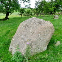 HRS 9897 Crosby Ravensworth, Shap granite erratics L1110537