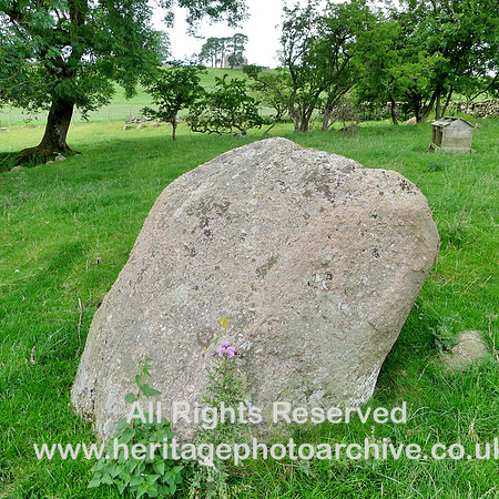 HRS 9897 Crosby Ravensworth, Shap granite erratics L1110537