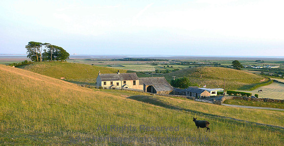 HRS 2264 Applebury Farm drumlins Flookburgh