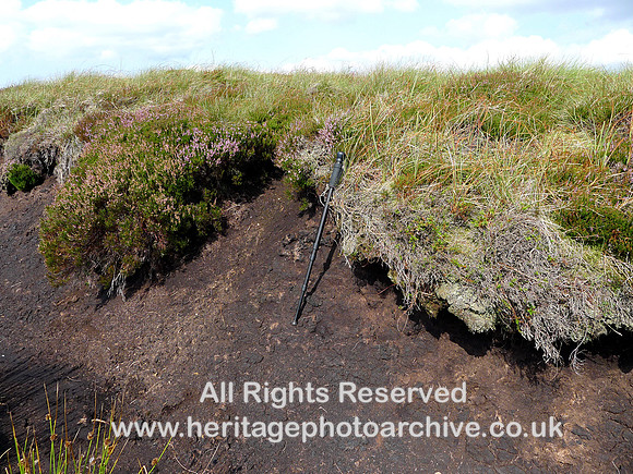 HRS 10369 Tan Hill, peat L1190385