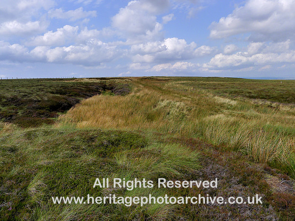 HRS 10372 Tan Hill, track and causeway across beck looking south L1190392