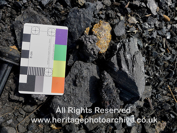 HRS 10375  Tan Hill coal samples L1190395