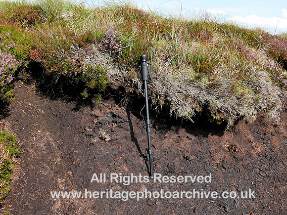 HRS 10388 Tan Hill, peat L7740911