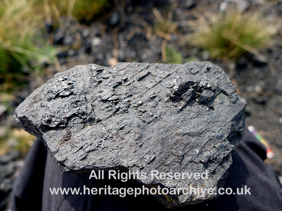 HRS 10376 Tan Hill coal sample with layering L1190396