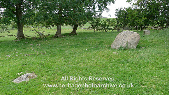 HRS 9896 Crosby Ravensworth, Shap granite erratics L1110536