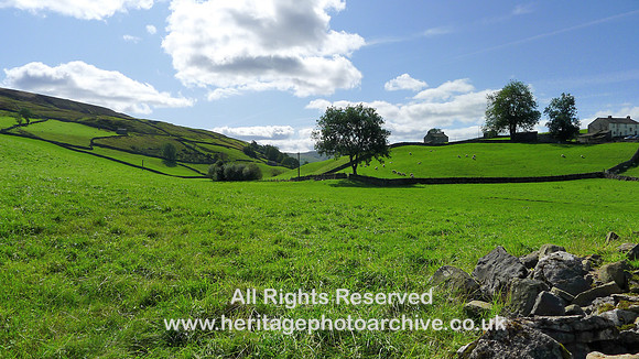 HRS 10409 Keld, sheep pasture L1190420