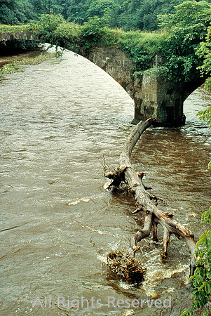Lower Hodder Bridge 1967