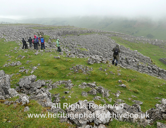 HRS 10275 Ravenstonedale, Fell End Clouds limestone U3A L7740639