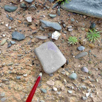 L1060625-Hare-cliff-beach-clast-with-glacial-striae