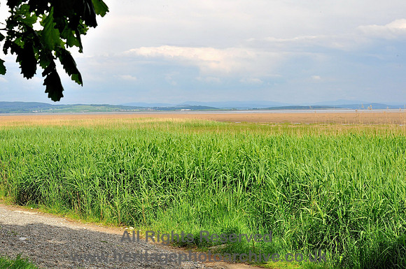 HRS 7050 Bardsea, Sea Wood, view towards Flookburgh from shore