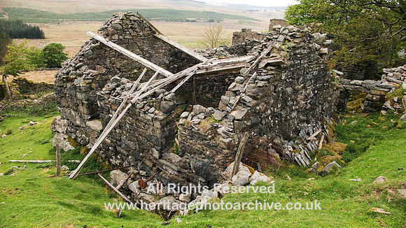 HRS 591 Arenig, Amnodd wen cornmill