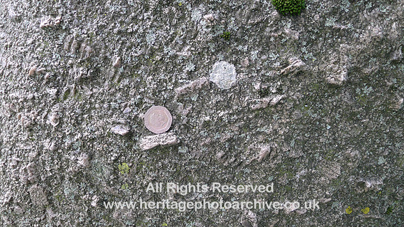 HRS 9901 Crosby Ravensworth, Shap granite erratic close up of feldspar L1110542