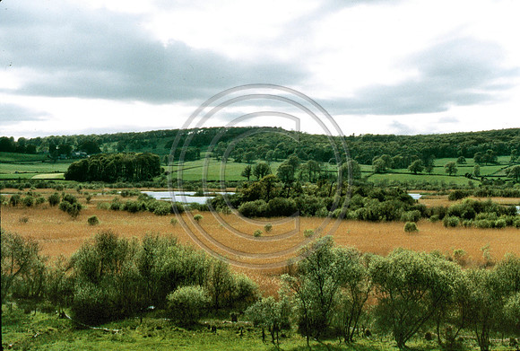 General view of Leighton Moss nd