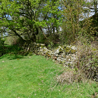 HRS 8905 Blencarn, Dry Stone Wall in valley L1150295