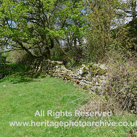 HRS 8905 Blencarn, Dry Stone Wall in valley L1150295
