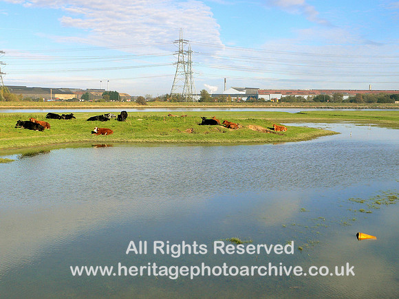HRS 3291 Connahs Quay, River Dee at high tide