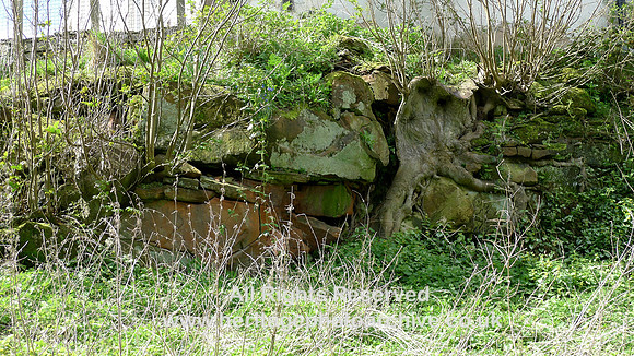 HRS 8902 Blencarn, old quarries L1150292