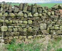 HRS 9043 Skirwith Low Moor, Dry stone wall L1150281
